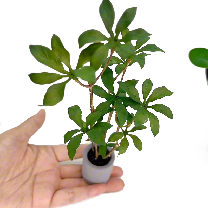 1:6 Dollhouse Miniature Potted - đánh giá và giá Bonsai Garden Miniature
