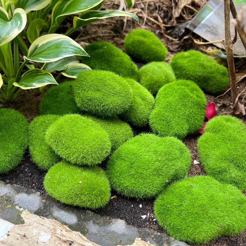 5/30pcs Simulation Moss Stone  - đánh giá và giá Bonsai Rock Garden