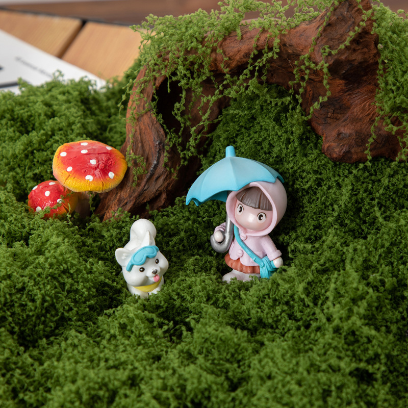 200g Eternal Life Moss DIY Cra - đánh giá và giá Bonsai Garden For Home