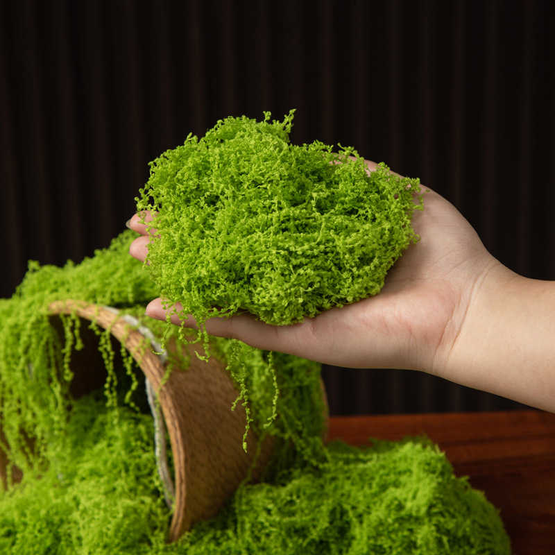 200g Eternal Life Moss DIY Cra - đánh giá và giá Bonsai Garden For Home