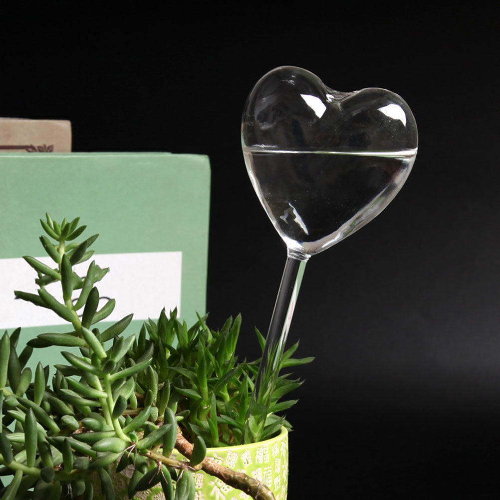 3Pcs Heart Shaped Glass Self W - đánh giá và giá Bonsai Garden For Home