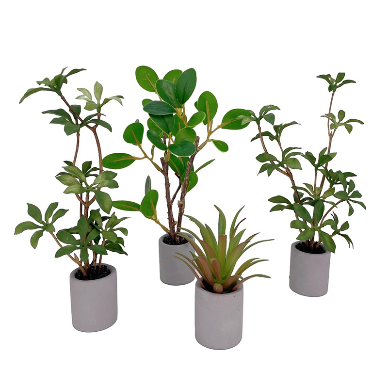1:6 Dollhouse Miniature Potted - đánh giá và giá Bonsai Garden Miniature