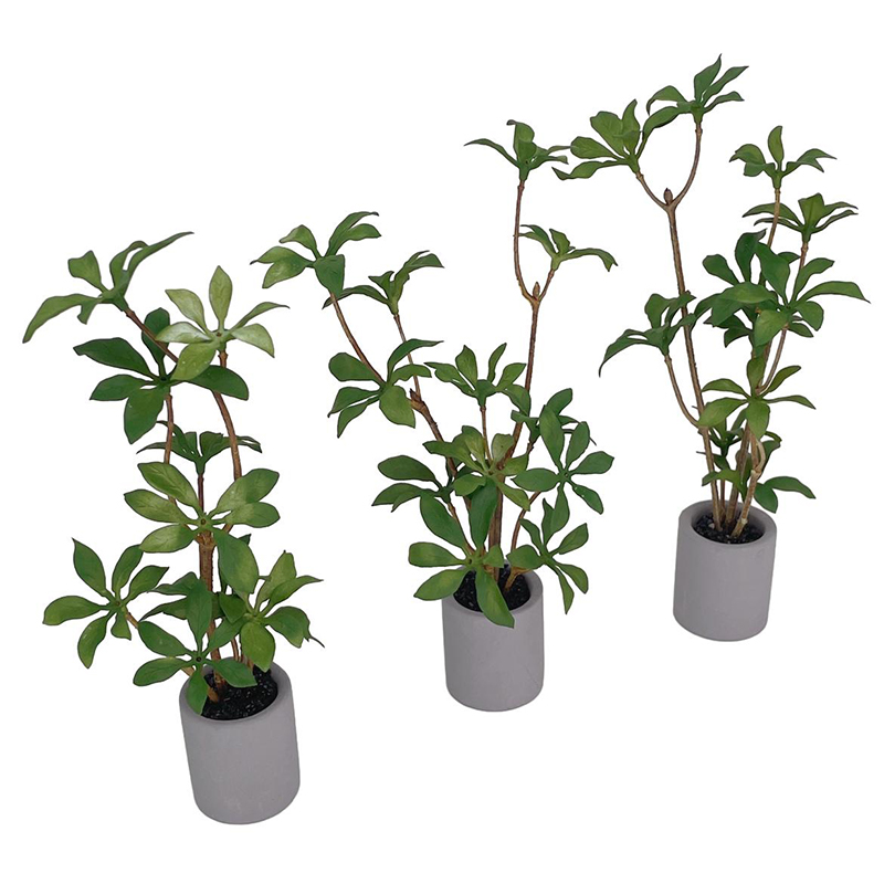 1:6 Dollhouse Miniature Potted - đánh giá và giá Bonsai Garden Miniature