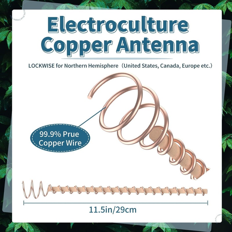 Bonsai Copper Electroculture P - đánh giá và giá Bonsai Garden Accessories