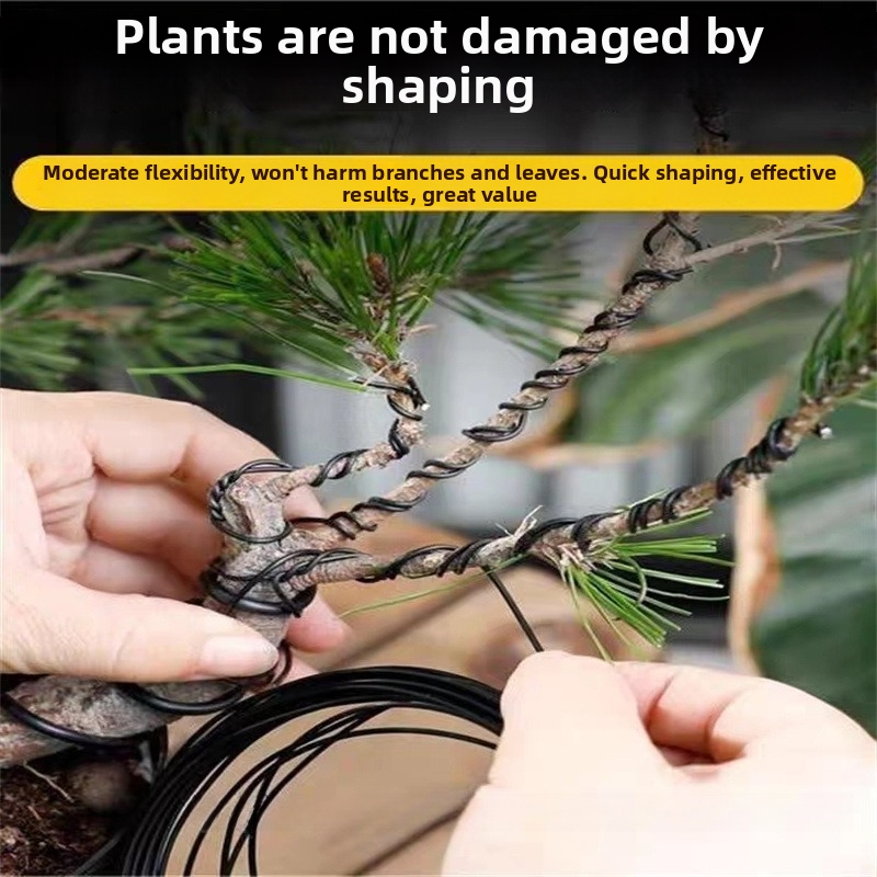 1.5MM Bonsai Wires Aluminum Bo - đánh giá và giá Bonsai Garden For Home