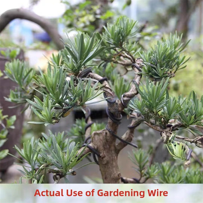 1.5MM Bonsai Wires Aluminum Bo - đánh giá và giá Bonsai Garden For Home