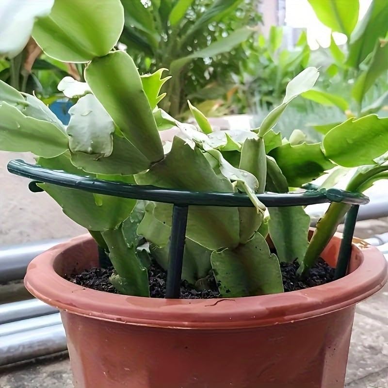 30-1PCS Plastic Plant Support  - đánh giá và giá Bonsai Garden Accessories