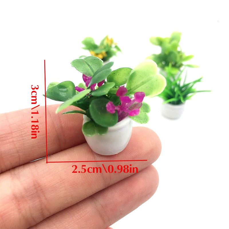 Dollhouse Plant, Miniature Bon - đánh giá và giá Bonsai Garden Accessories