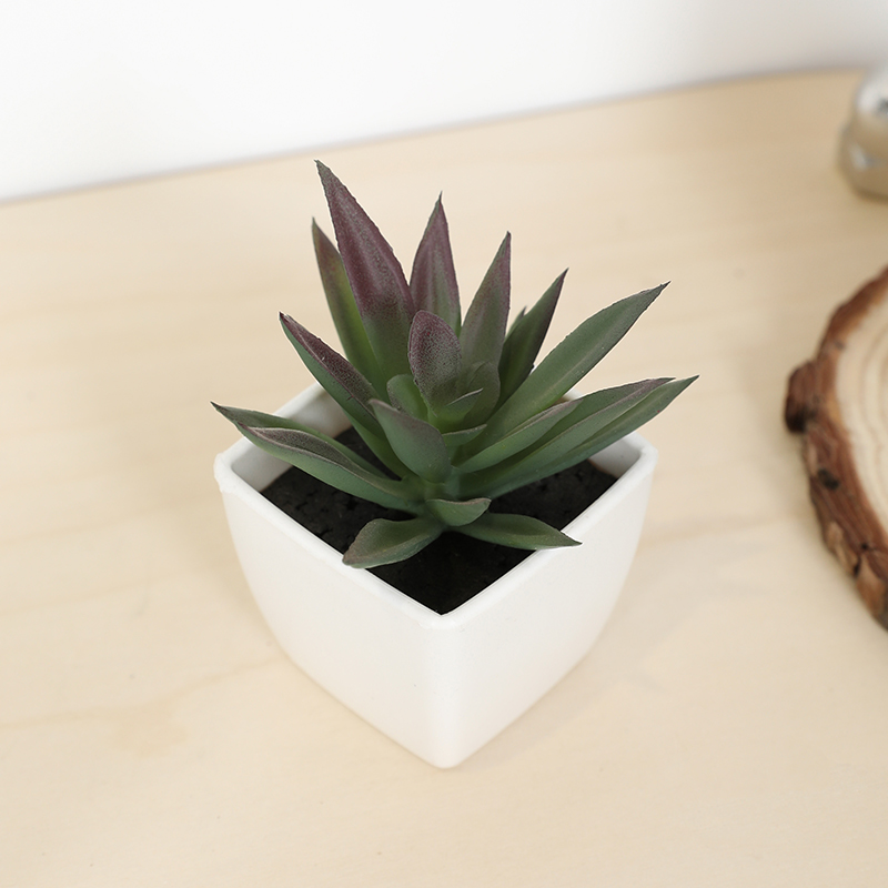 Mini Artificial Succulent Fair - đánh giá và giá Bonsai Garden Mini