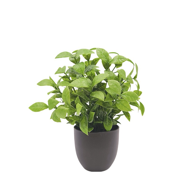 Simulation Green Plant Bonsai  - đánh giá và giá Bonsai Garden Mini