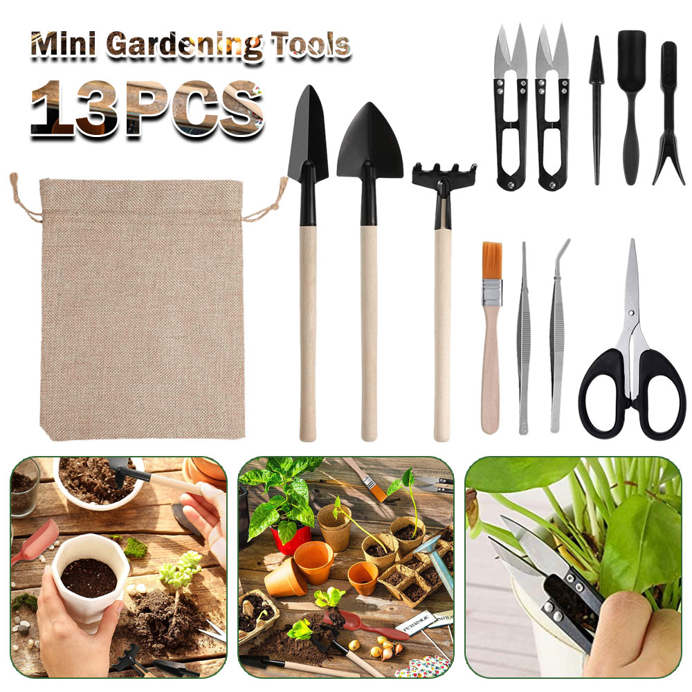 Succulent Plants Tools Mini Ga - đánh giá và giá Bonsai Garden Miniature
