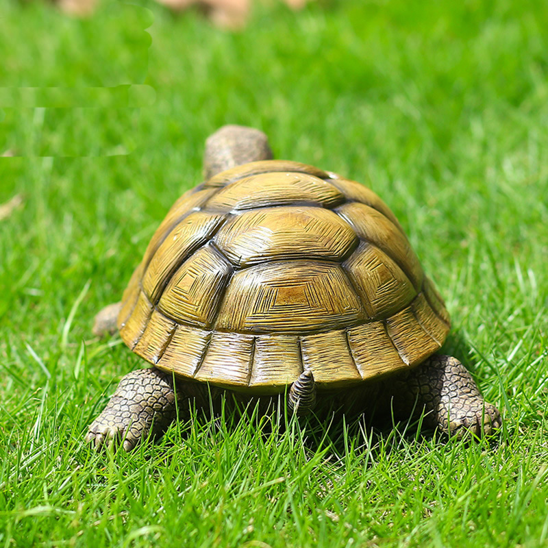 Cute Decorative Turtle Resin T - đánh giá và giá Bonsai Garden For Home