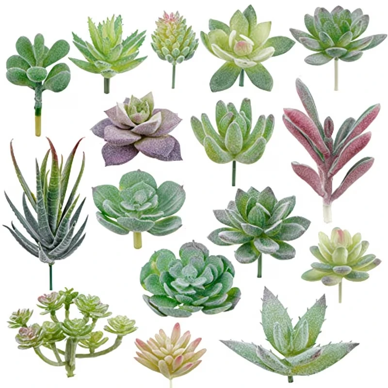 10/20Pcs PVC Succulents Plants - đánh giá và giá Bonsai Garden For Home