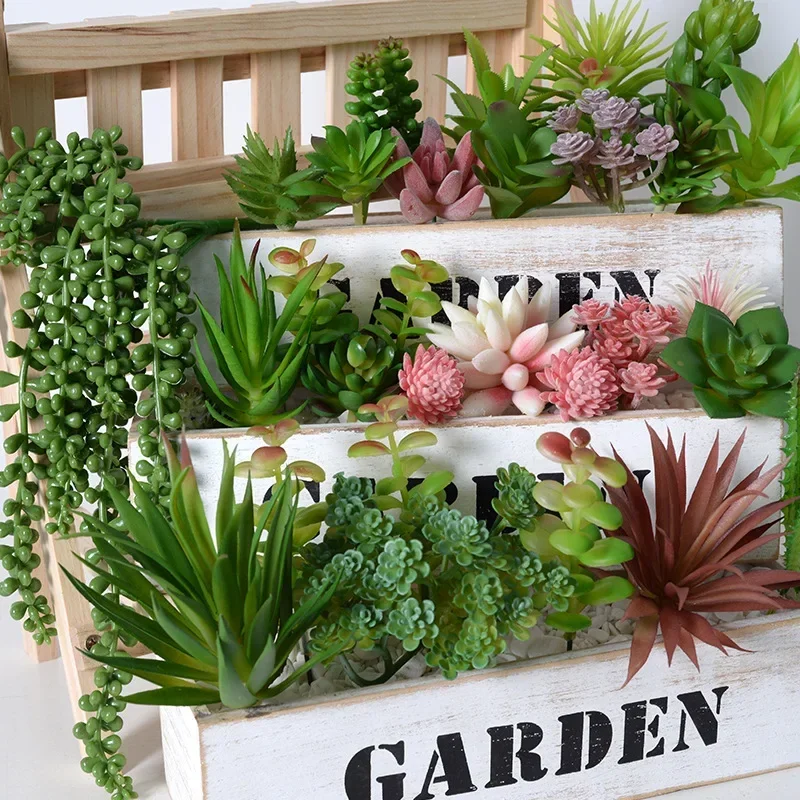 10/20Pcs PVC Succulents Plants - đánh giá và giá Bonsai Garden For Home