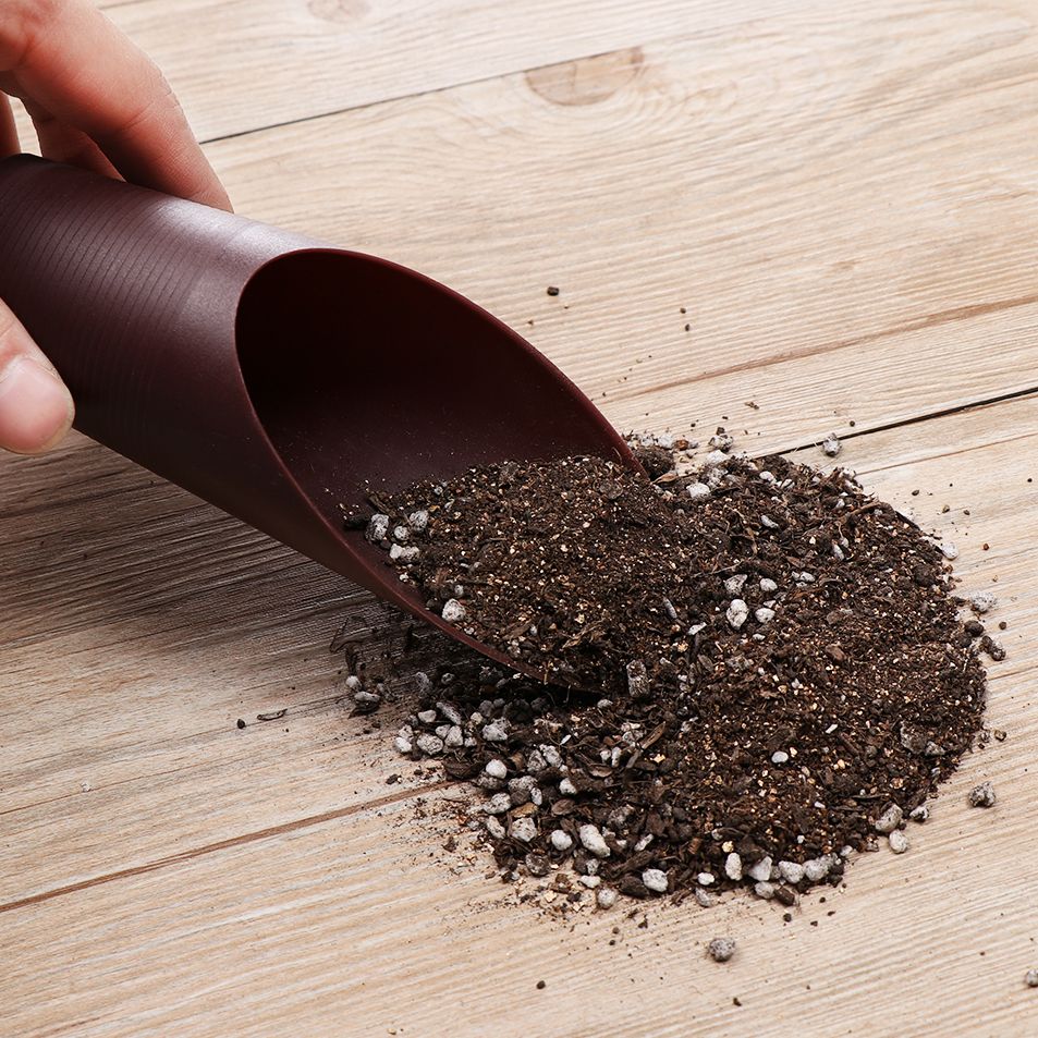 1PC Plastic Soil Shovel Cup Fo - đánh giá và giá Bonsai Garden For Home